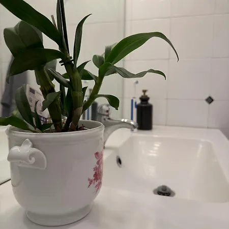 Comfort And Quiet Few Steps From The Ligurian Sea アパート *